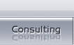 Consulting